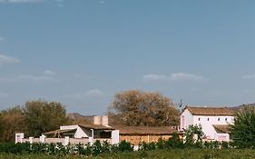 The Luxe Pushkar - A Luxury Farmstay In Pushkar